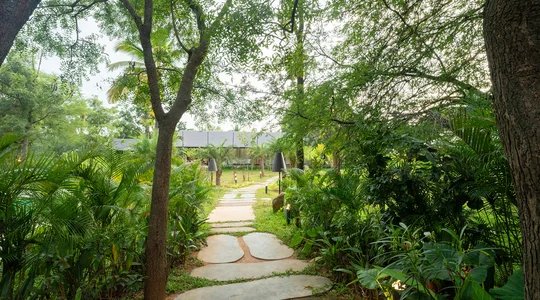 Tapovana Avani | Pet-Friendly 2-BHK Villa with Garden, Shared Pool, Gazebo & Firepit Lounge