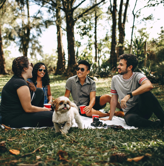 Khojii - Find Stays and Experiences