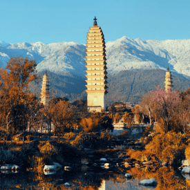 Khojii - Find Stays and Experiences